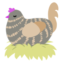Broom, a ash and beige chicken with a bar pattern