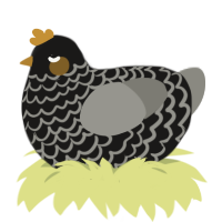 A sable and ash chicken with a lace pattern