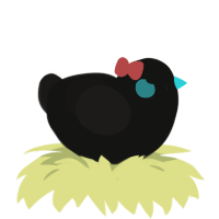 Lil Snips, a black and sable chicken