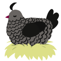 A grey and black chicken with a lace pattern