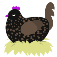 A black and bark chicken with a speckle pattern