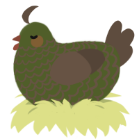 A olive and bark chicken with a lace pattern
