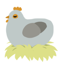 Softie, a silver and ash chicken