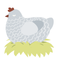 A mist chicken with a lace pattern