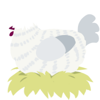 A white and mist chicken with a bar pattern