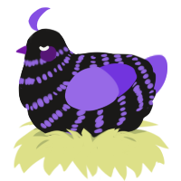 Campanula, a sable and blurple chicken with a bar pattern