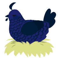 twin baby 2, a navy and tumblr chicken with a lace pattern