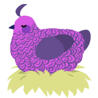 A orchid and overcast chicken with a double-lace pattern