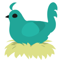 A turquoise chicken