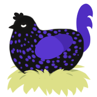 A black and indigo chicken with a speckle pattern