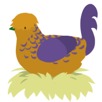 superb, a ochre and overcast chicken with a half-lace pattern