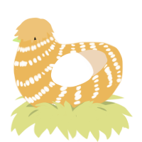 A honey and cream chicken with a bar pattern