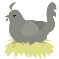 A ash chicken