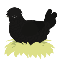 A sable and black chicken with a lace pattern