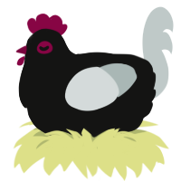 Squop, a black and silver chicken