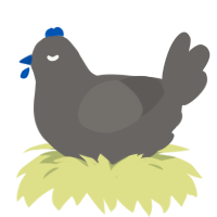 Slate, a grey chicken