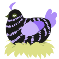 A sable and lilac chicken with a bar pattern