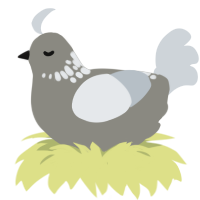 A ash and mist chicken with a neck-speckle pattern