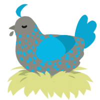 A ash and cerulean chicken with a speckle pattern