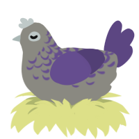 Softie, a ash and overcast chicken with a half-lace pattern