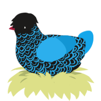 A sable and sky chicken with a double-lace pattern
