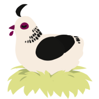 A cream and black chicken with a neck-band pattern