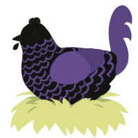 (unnamed), a black and overcast chicken with a lace pattern