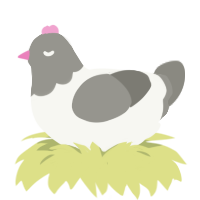 Pidgeon, a white and ash chicken with a head pattern