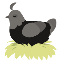A sable and grey chicken with a head pattern