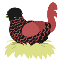 Cordial Cherry, a sable and red chicken with a lace pattern