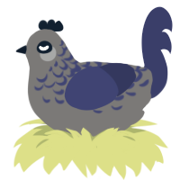 VIV Rusty, a grey and navy chicken with a half-lace pattern