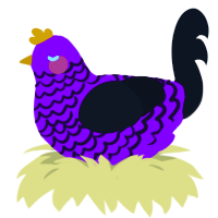 A plum and sable chicken with a lace pattern
