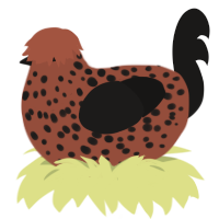 pinto bean, a russet and sable chicken with a speckle pattern