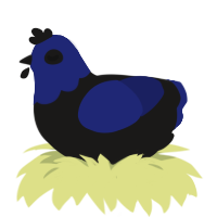 A sable and navy chicken with a head pattern