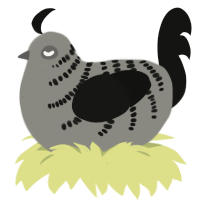 (unnamed), a ash and black chicken with a half-bar pattern