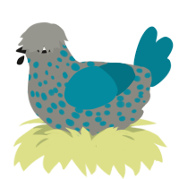 A ash and sea chicken with a speckle pattern