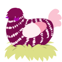 A wine and rose chicken with a bar pattern