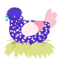 A indigo and rose chicken with a speckle pattern