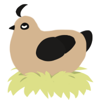 A beige and sable chicken
