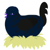 A tumblr and black chicken with a half-bar pattern