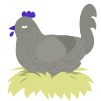 A ash chicken with a double-lace pattern
