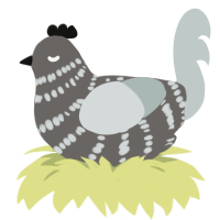(unnamed), a grey and silver chicken with a bar pattern