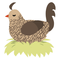 A beige and bark chicken with a double-lace pattern