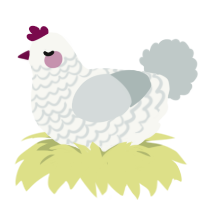Marshmallow, a white and silver chicken with a lace pattern