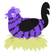 A blurple and sable chicken with a bar pattern