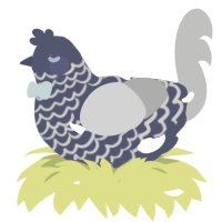 A navy and ash chicken with a lace pattern