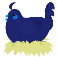 A navy chicken with a lace pattern
