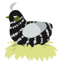 A sable and silver chicken with a bar pattern