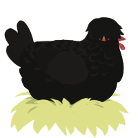 Champion, a black and sable chicken with a half-lace pattern