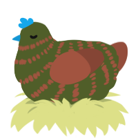 oh, a olive and russet chicken with a bar pattern